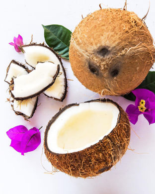 Picture for category Coconut Meat